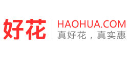 好花網(wǎng) 好花網(wǎng)